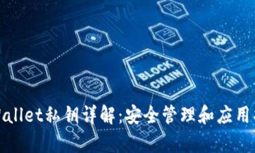 tpWallet私钥详解：安全管理和应用指南