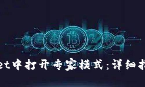 如何在tpWallet中打开专家模式：详细指南与操作步骤