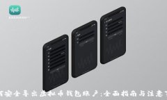   如何安全导出虚拟币钱包账户：全面指南与注意