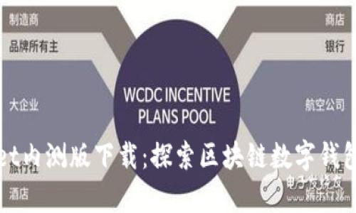 tpWallet内测版下载：探索区块链数字钱包的未来