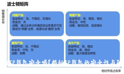 资产放在TP钱包安全吗？揭秘TP钱包的安全性与防盗策略