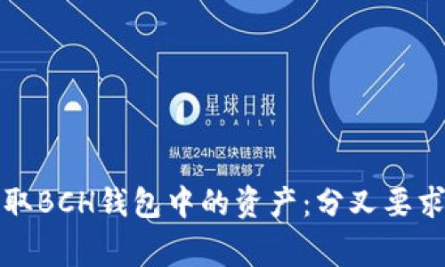 如何安全提取BCH钱包中的资产：分叉要求及注意事项