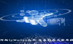 如何向tpWallet充钱：全面指南与实用技