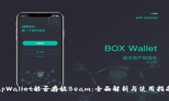 tpWallet能否存放Beam：全面解析与使用指