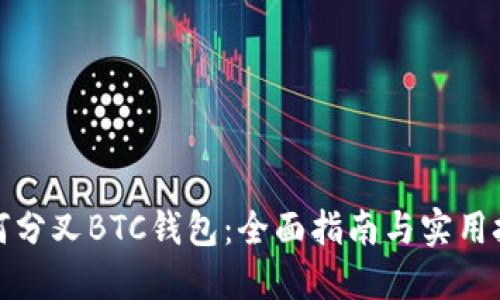 如何分叉BTC钱包:全面指南与实用技巧