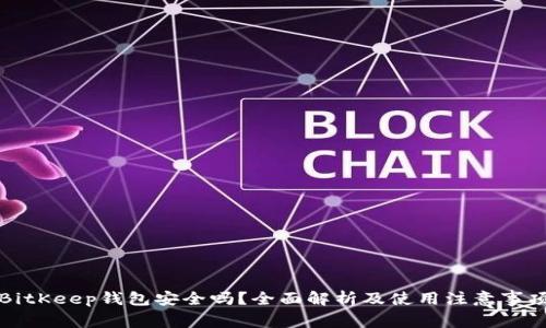 BitKeep钱包安全吗?全面解析及使用注意事项