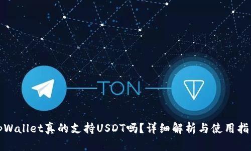 tpWallet真的支持USDT吗?详细解析与使用指南