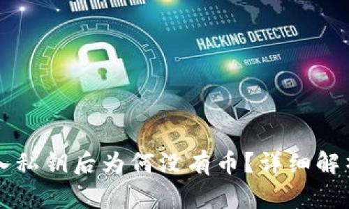 tpWallet导入私钥后为何没有币?详细解析与解决方案