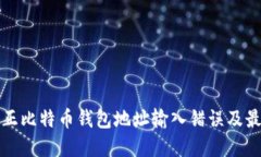 如何纠正比特币钱包地址输入错误及最
