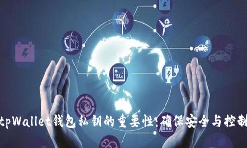 tpWallet钱包私钥的重要性:确保安全与控制