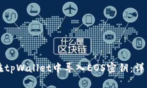 如何在tpWallet中导入EOS密钥:详细指南