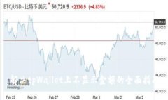 解决tpWallet上不显示金额的全面指南