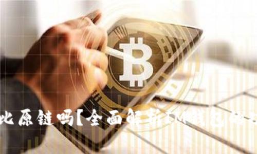 IM钱包支持比原链吗?全面解析IM钱包的功能与兼容性