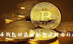  莱特币钱包被盗后如何应对与补救措
