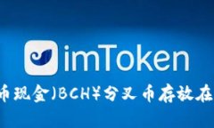 如何将比特币现金（BCH）分叉币存放在