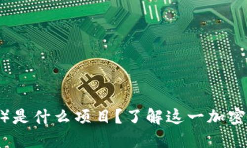 派币(Pi Network)是什么项目?了解这一加密货币的背景与未来