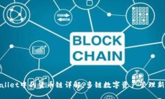 tpWallet中的货币链详解：多链数字资产