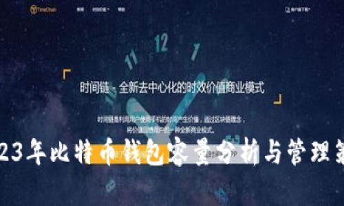 2023年比特币钱包容量分析与管理策略