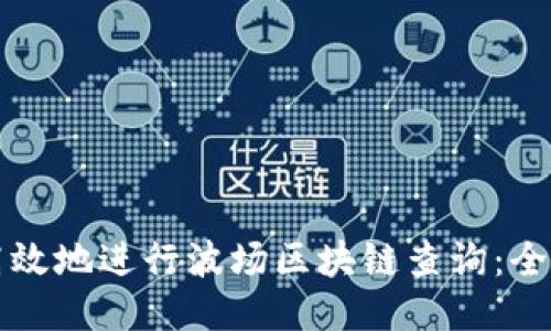 如何高效地进行波场区块链查询:全面指南