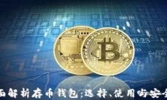 全面解析存币钱包：选择、使用与安全