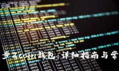 如何有效同步Zcoin钱包：详细指南与常
