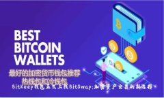 BitKeep钱包正式上线BitSwap：加密资产交
