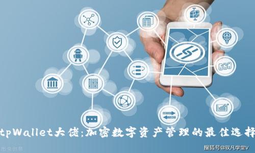 tpWallet大佬:加密数字资产管理的最佳选择