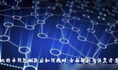 比特币钱包删除后如何找回：全面解析
