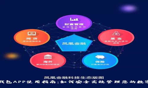 波币钱包APP使用指南:如何安全高效管理您的数字资产