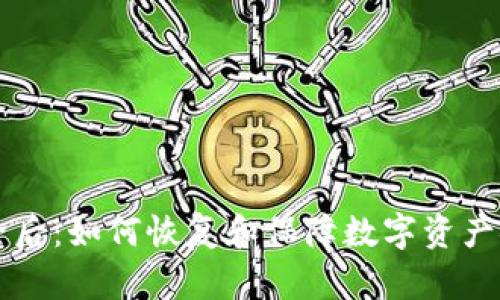 tpWallet被删除后:如何恢复和保障数字资产安全的完整指南