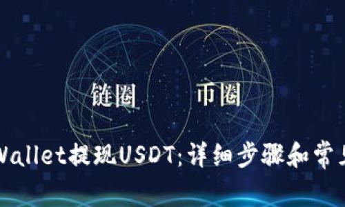 如何在tpWallet提现USDT:详细步骤和常见问题解析