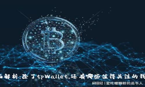 全面解析:除了tpWallet,还有哪些值得关注的钱包?