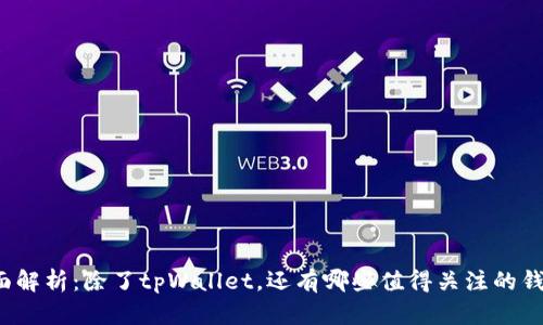 全面解析:除了tpWallet,还有哪些值得关注的钱包?
