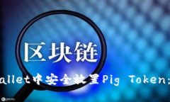 如何在tpWallet中安全放置Pig Token：全方
