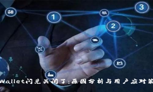 tpWallet闪兑关闭了:原因分析与用户应对策略