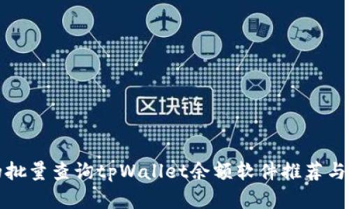 最实用的批量查询tpWallet余额软件推荐与使用指南