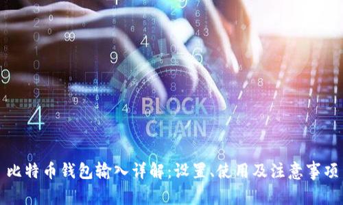 比特币钱包输入详解:设置、使用及注意事项