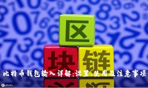 比特币钱包输入详解:设置、使用及注意事项