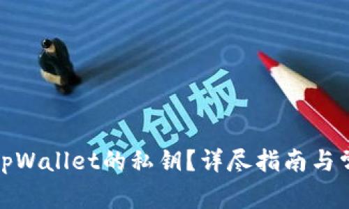 : 如何找回tpWallet的私钥？详尽指南与常见问题解析