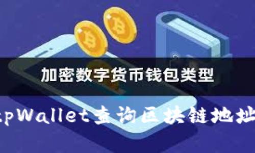 如何使用tpWallet查询区块链地址:完整指南