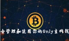 如何安全管理和使用你的Only主网钱包