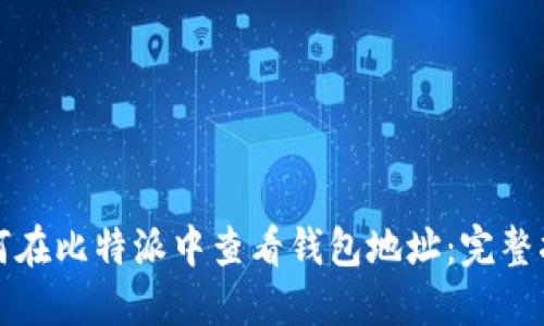 如何在比特派中查看钱包地址:完整指南
