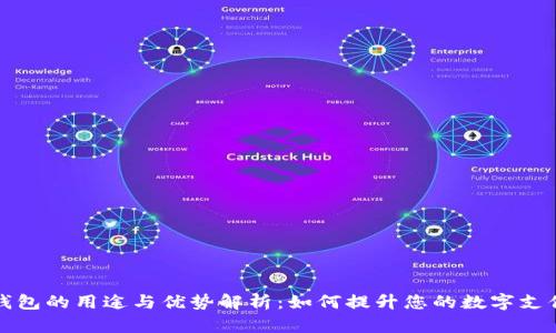 虚拟钱包的用途与优势解析:如何提升您的数字支付体验