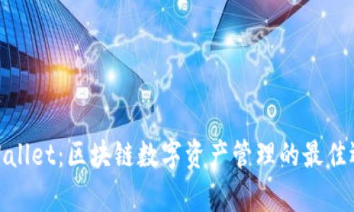 tpWallet:区块链数字资产管理的最佳选择