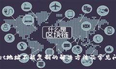 tpWallet地址不能复制的解决方法及常见