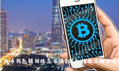 比特币钱包转错账怎么办?详细指南与解决方案