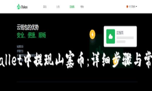 如何在tpWallet中提现山寨币:详细步骤与常见问题解答