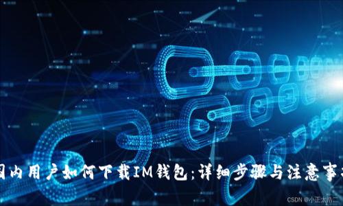 国内用户如何下载IM钱包:详细步骤与注意事项