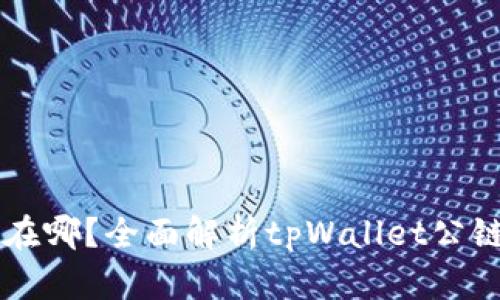 tpWallet公链在哪?全面解析tpWallet公链的特点与应用