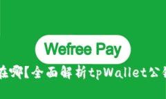 tpWallet公链在哪？全面解析tpWallet公链